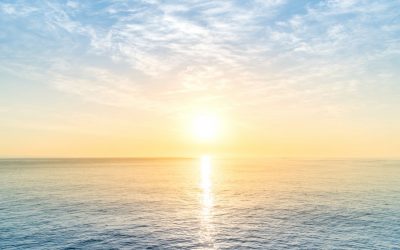 BOLEZNI IN POŠKODBE – 1. del